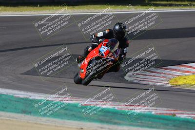 media/Mar-17-2024-Fastrack Riders (Sun) [[c7d6f8c14c]]/Level 2/Turn 6/